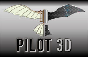 PILOT 3D